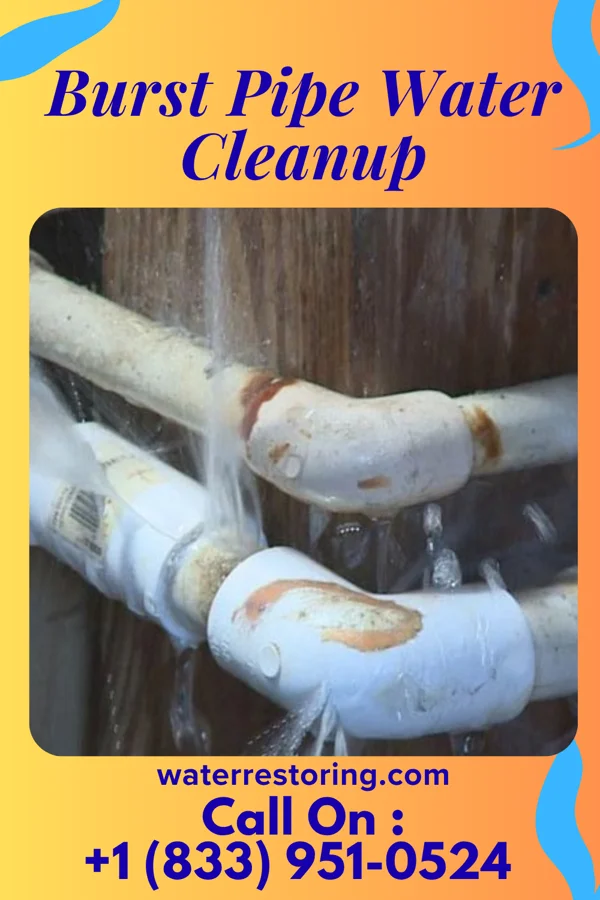 Burst Pipe Water Cleanup in Lebanon, PA