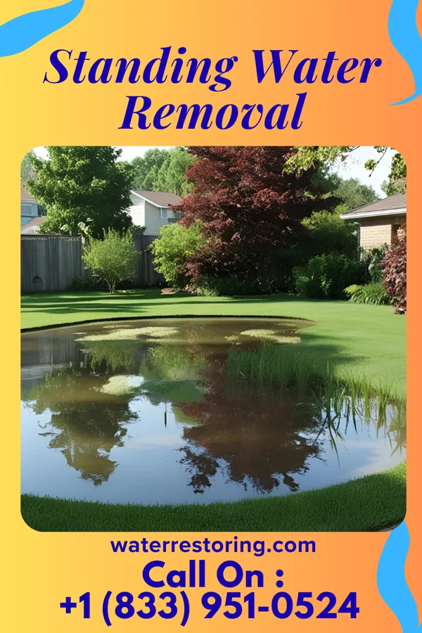 Standing Water Removal in Lebanon, PA